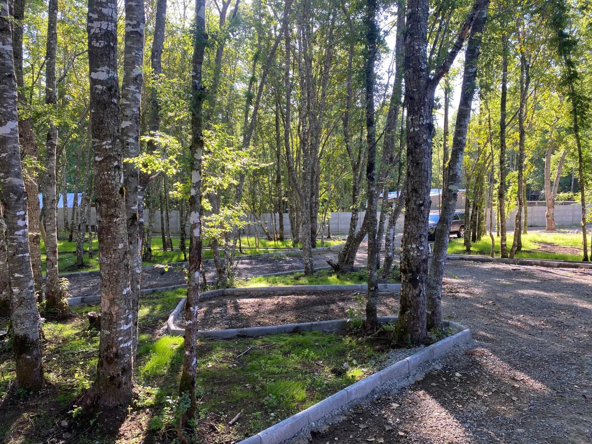 Boker Tov Pucon Hotel Exterior photo