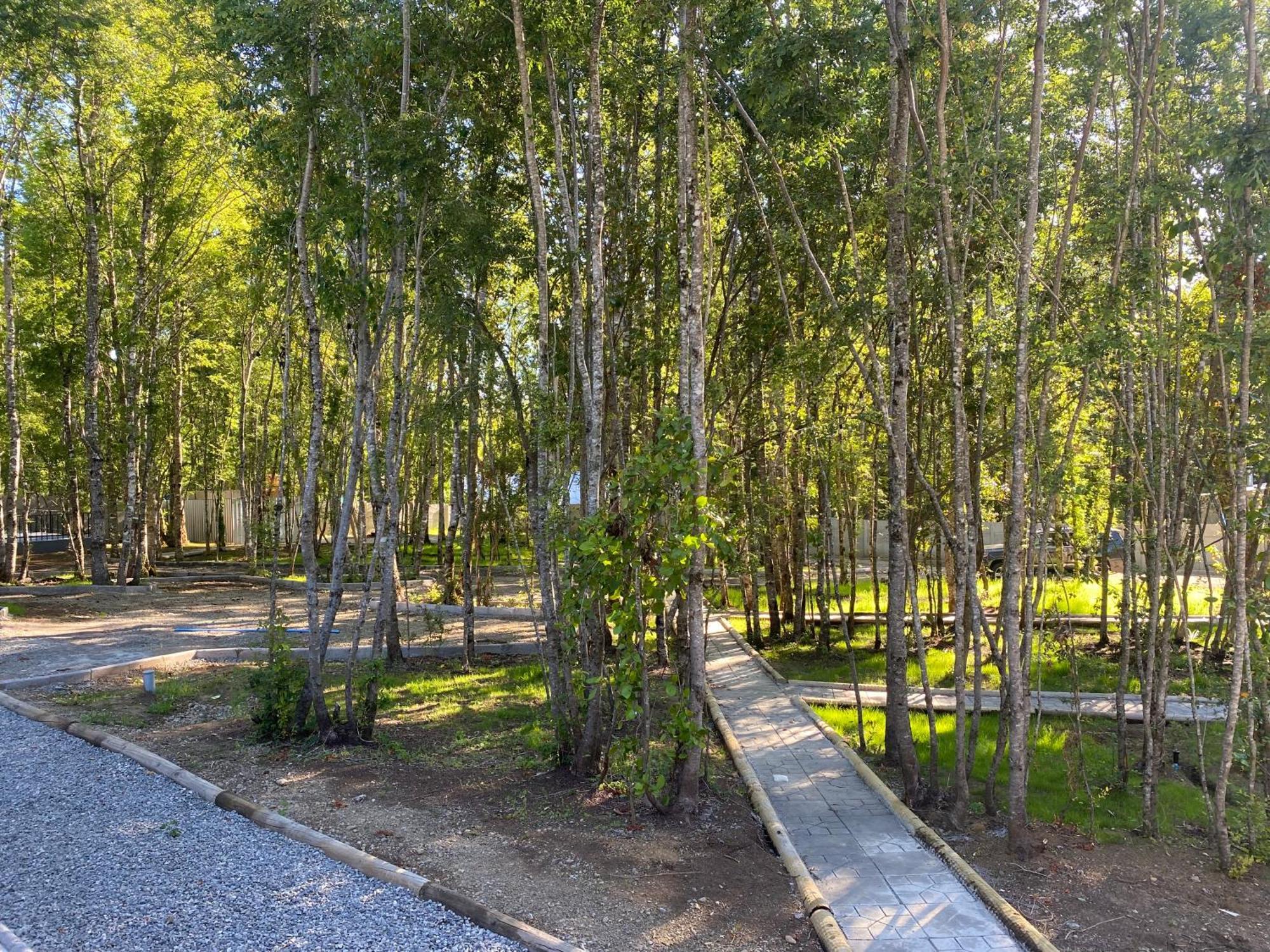 Boker Tov Pucon Hotel Exterior photo