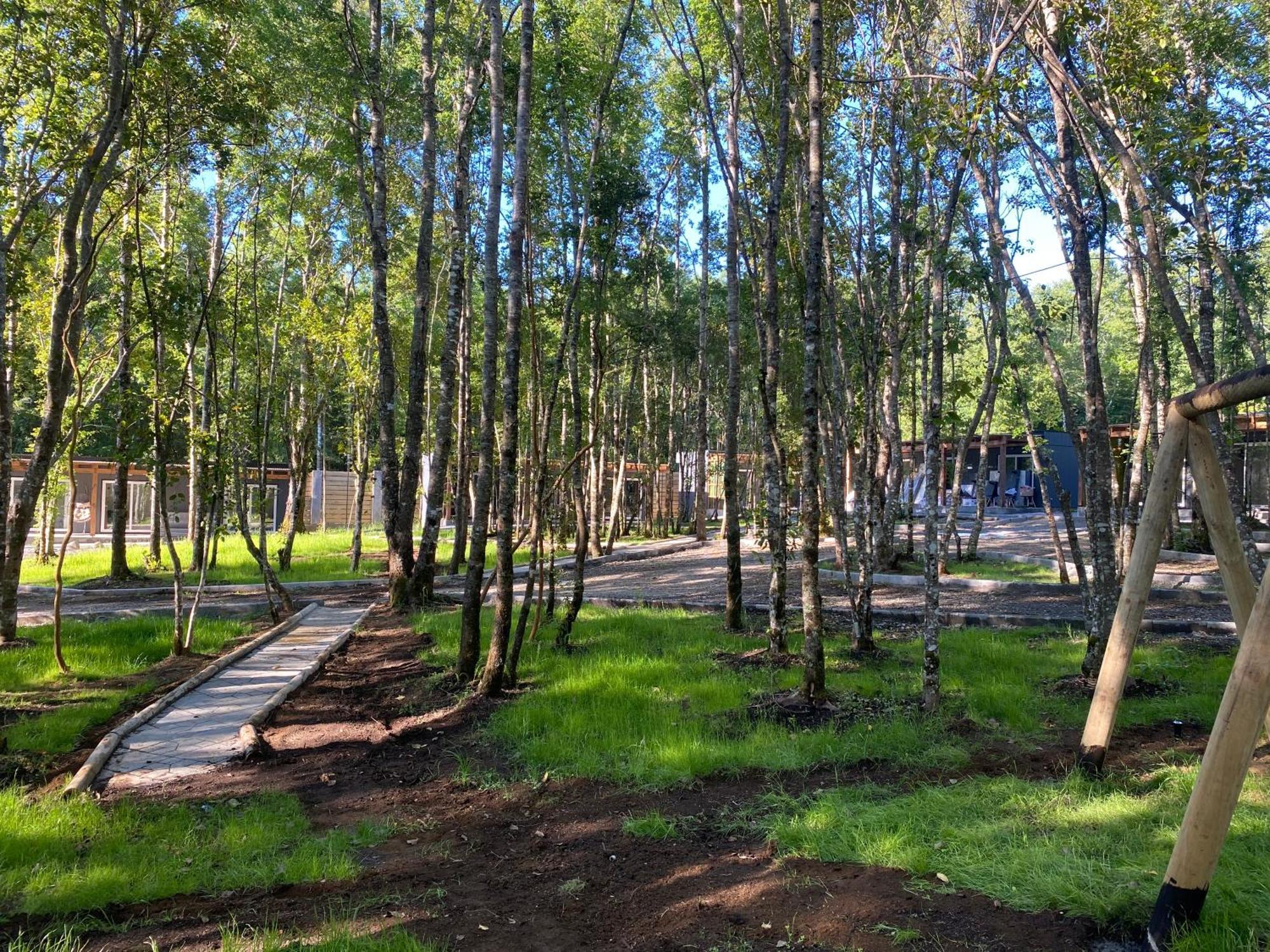 Boker Tov Pucon Hotel Exterior photo
